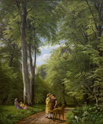 Ein Buchenwald im Mai nahe Iselingen Manor, Seeland